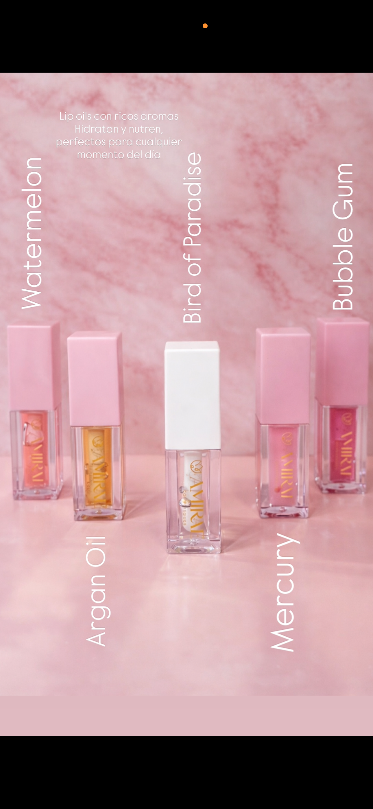 Lip Care Kit